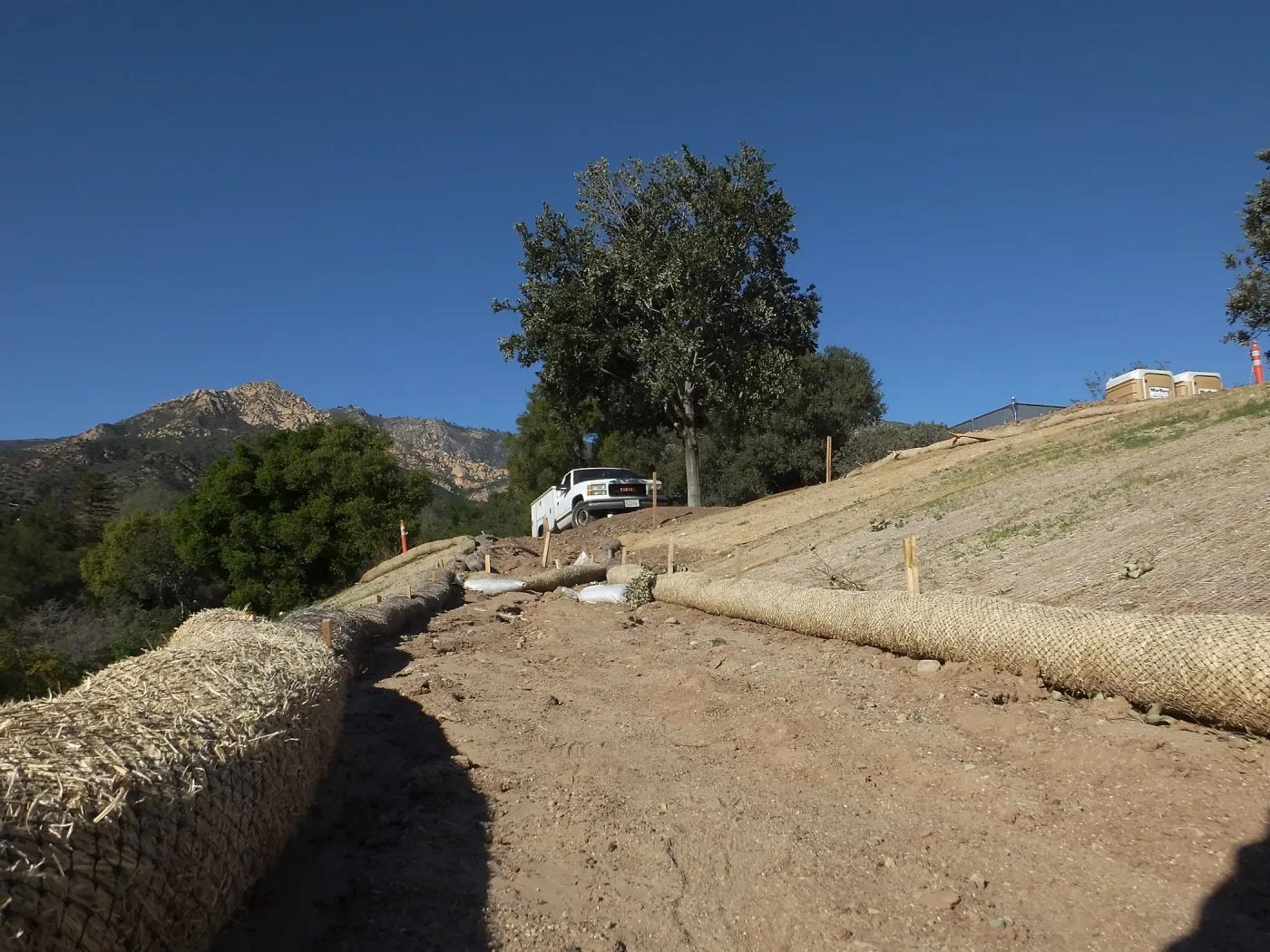 After installation of Island Oaks, flanking the entrance to the new Island Section at the Pritzlaff Conservation Center