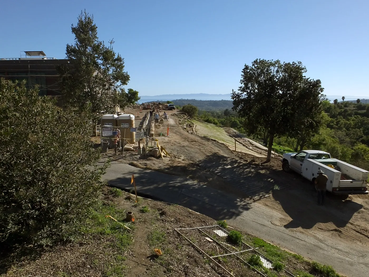 After installation of Island Oaks, flanking the entrance to the new Island Section at the Pritzlaff Conservation Center