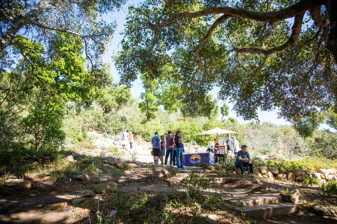 2016 Santa Barbara Beer Garden Event, Island Brewing Company