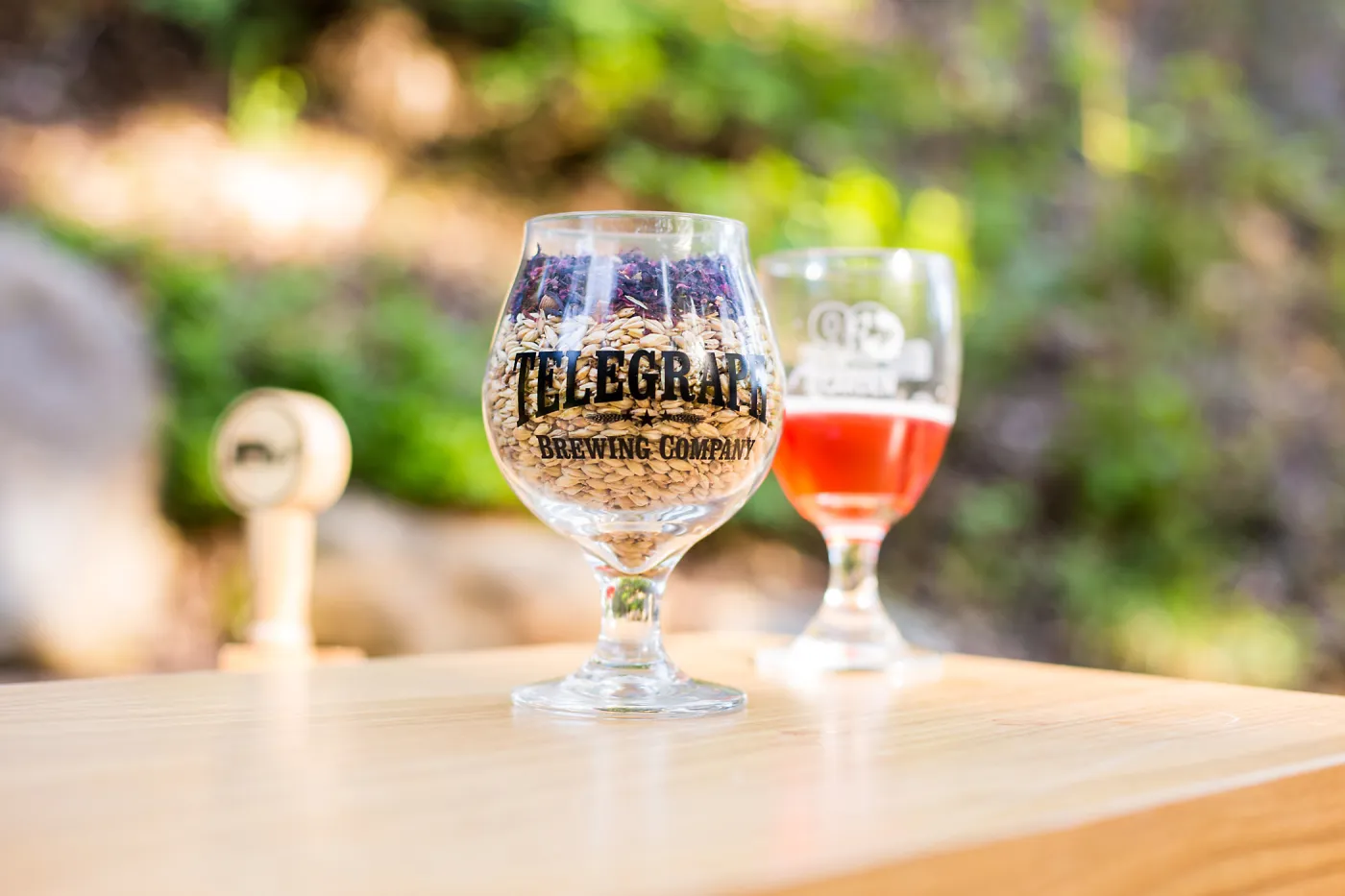 2016 Santa Barbara Beer Garden Event, Telegraph Brewing