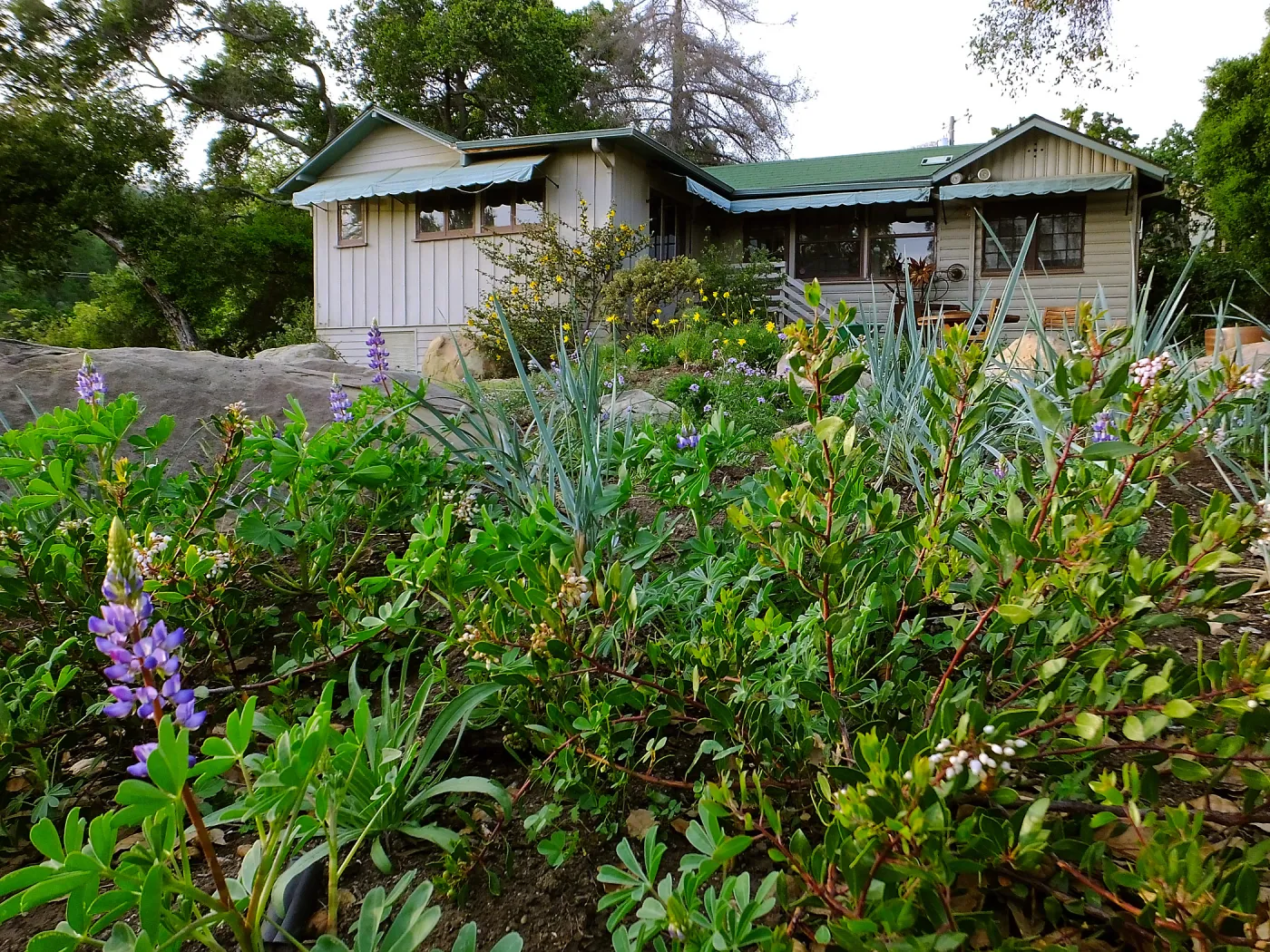 Home Demonstration Garden Renovation