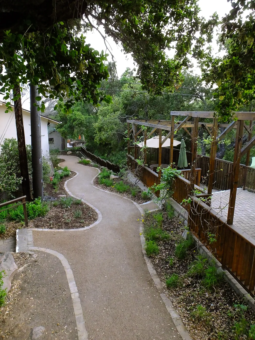 Home Demonstration Garden Renovation, view 33, looking south along path west of Herbarium