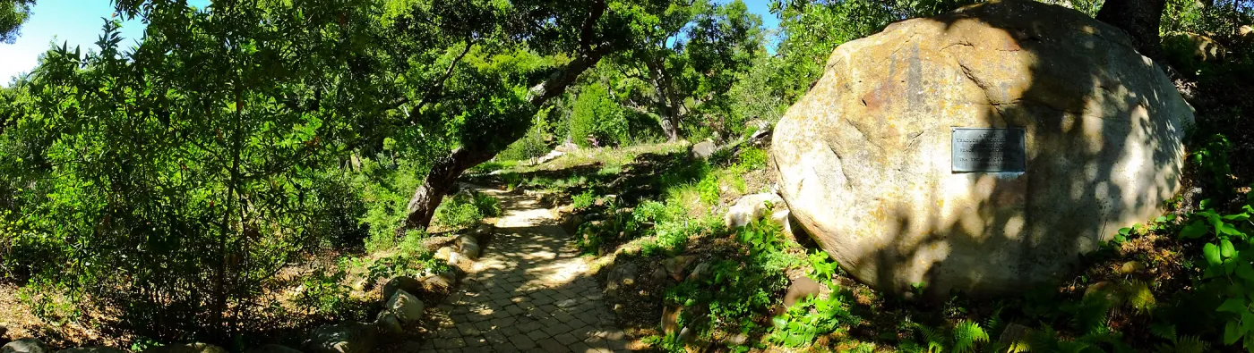 Wooded Dell, panoramic view along Campbell Trail