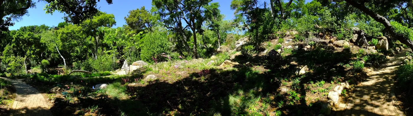 Wooded Dell panorama