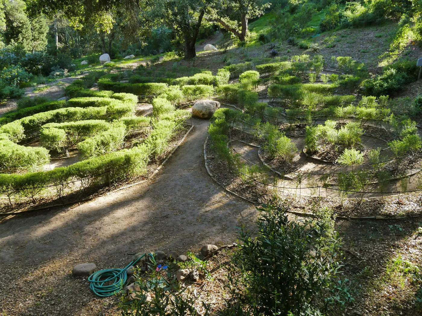 Centennial Maze