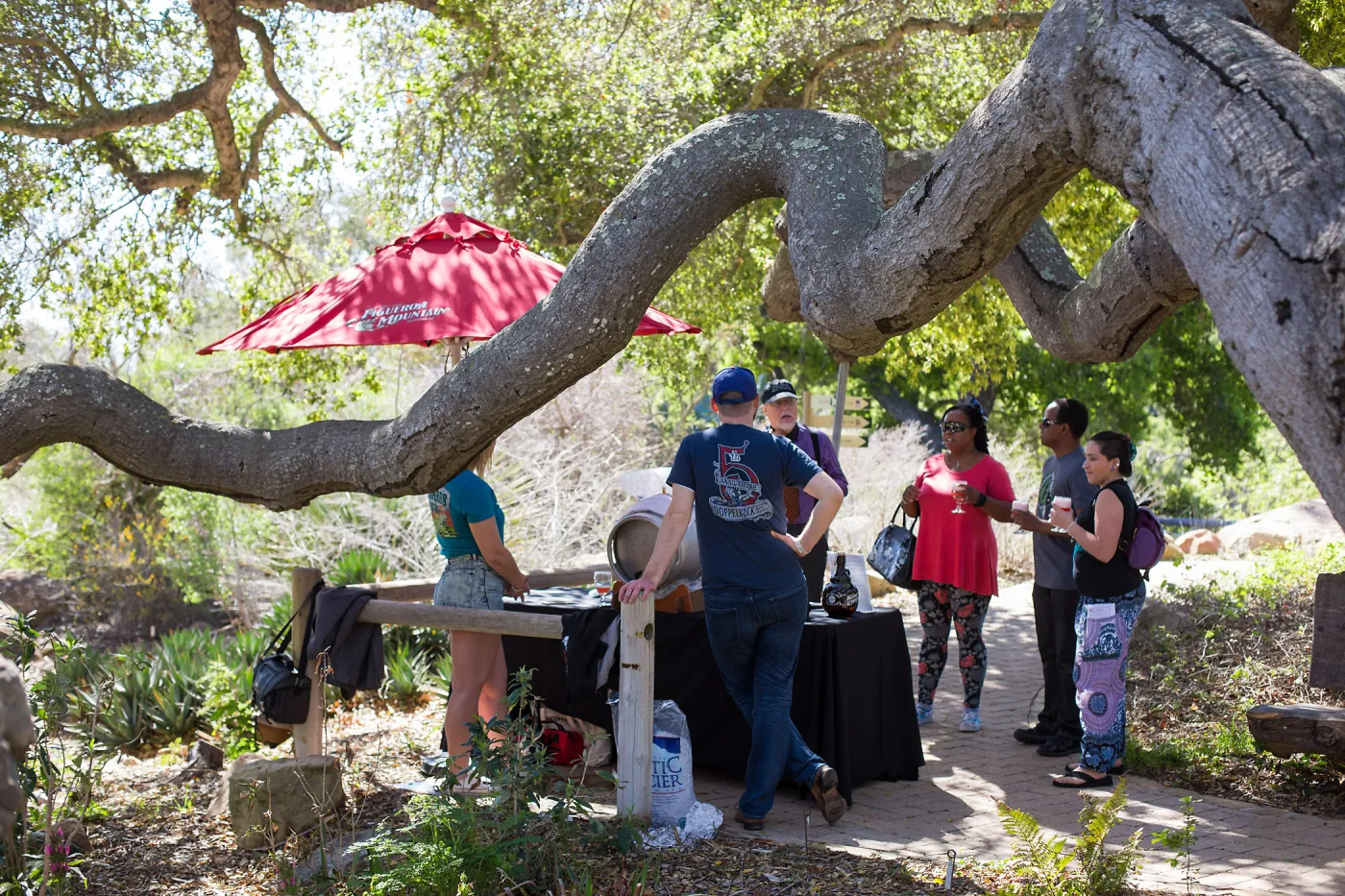 2016 Santa Barbara Beer Garden Event, Figeroa Mountain Brewing