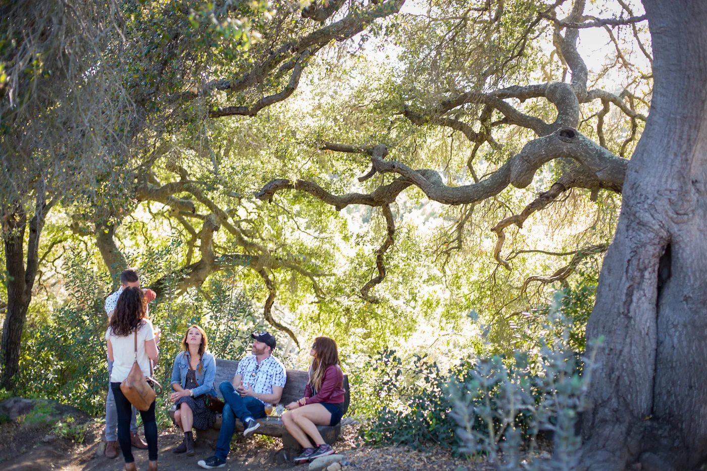 2016 Santa Barbara Beer Garden Event