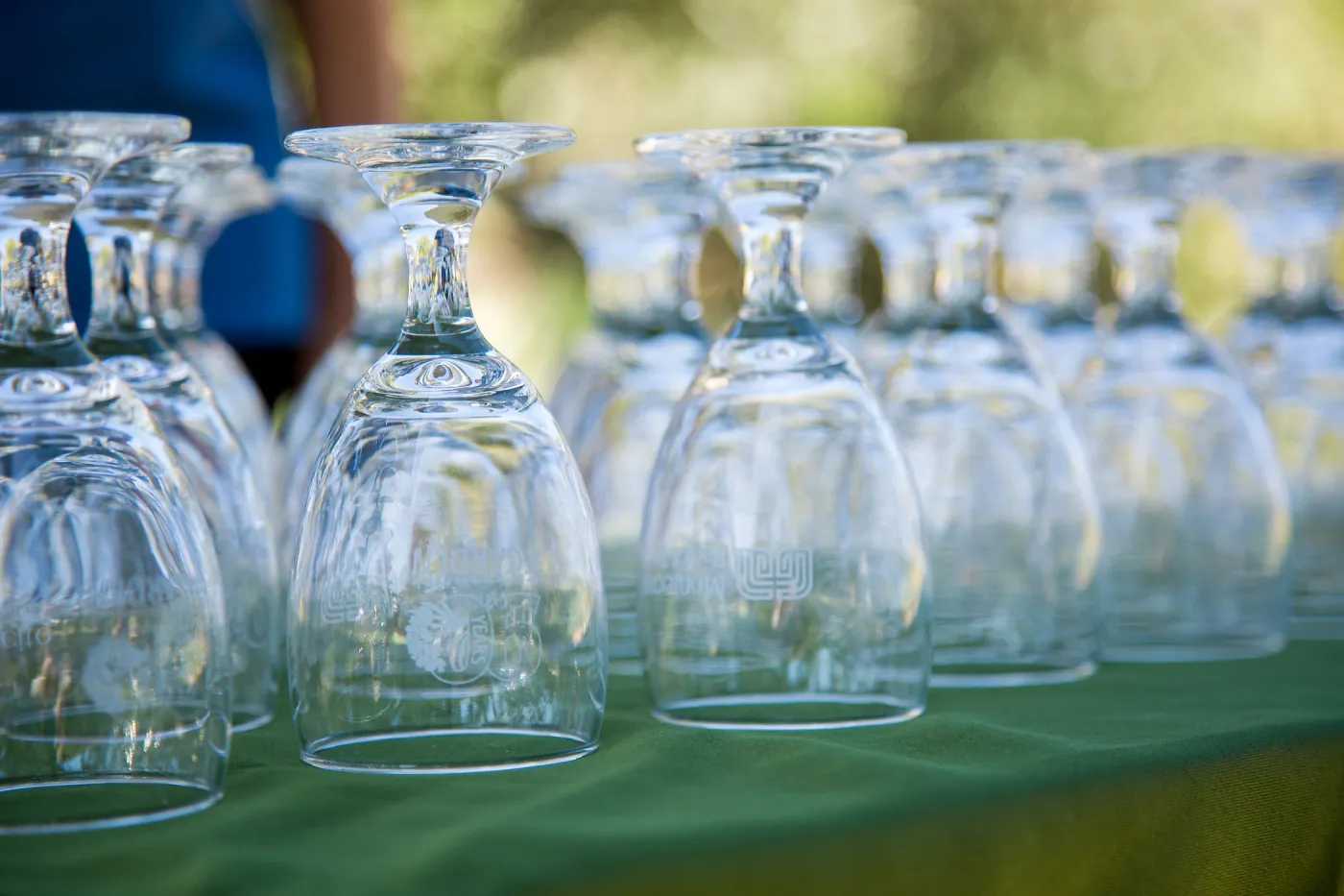 2016 Santa Barbara Beer Garden Event