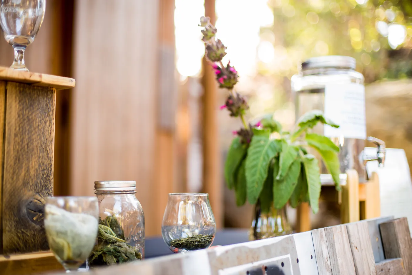 2016 Santa Barbara Beer Garden Event