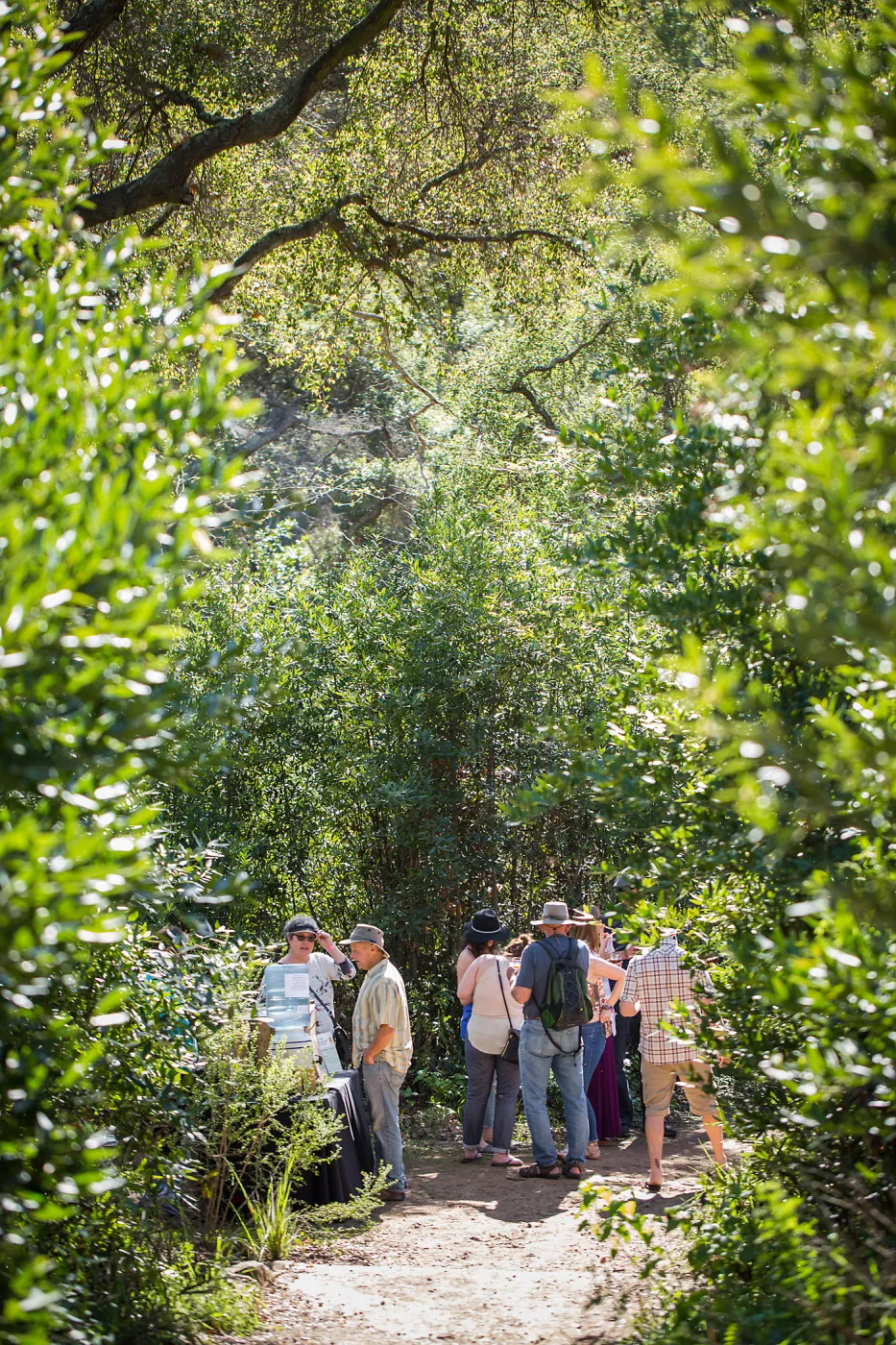 2016 Santa Barbara Beer Garden Event