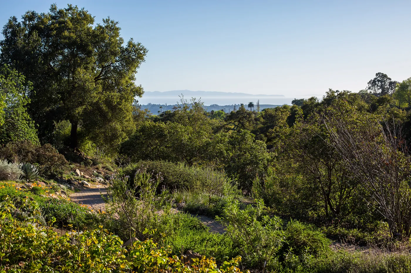 2016 Santa Barbara Beer Garden Event