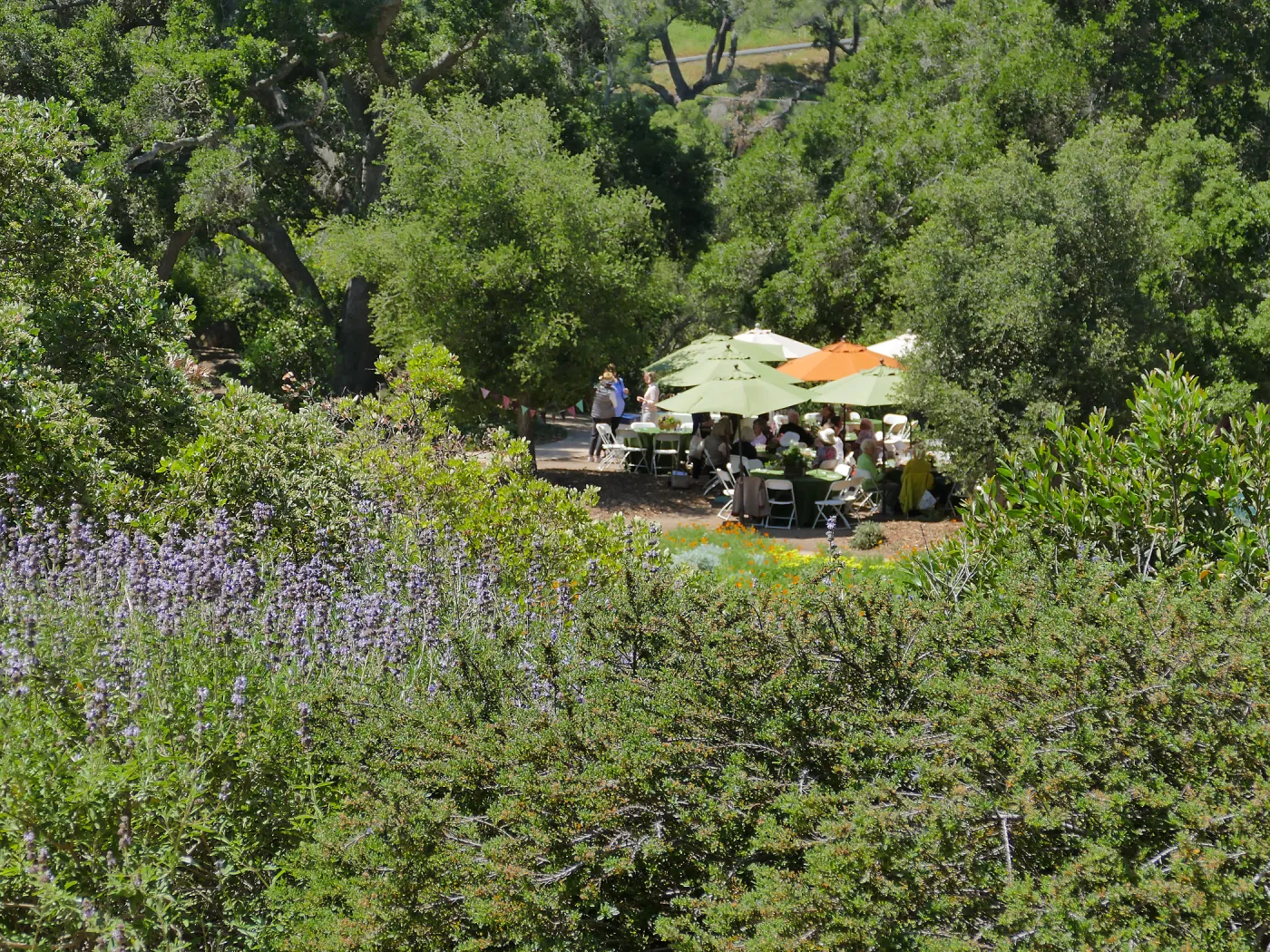 Garden Club of Santa Barbara Centennial Birthday Meeting