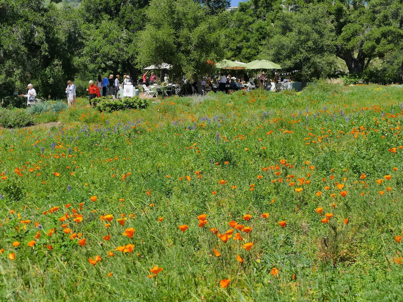 Garden Club of Santa Barbara Centennial Birthday Meeting