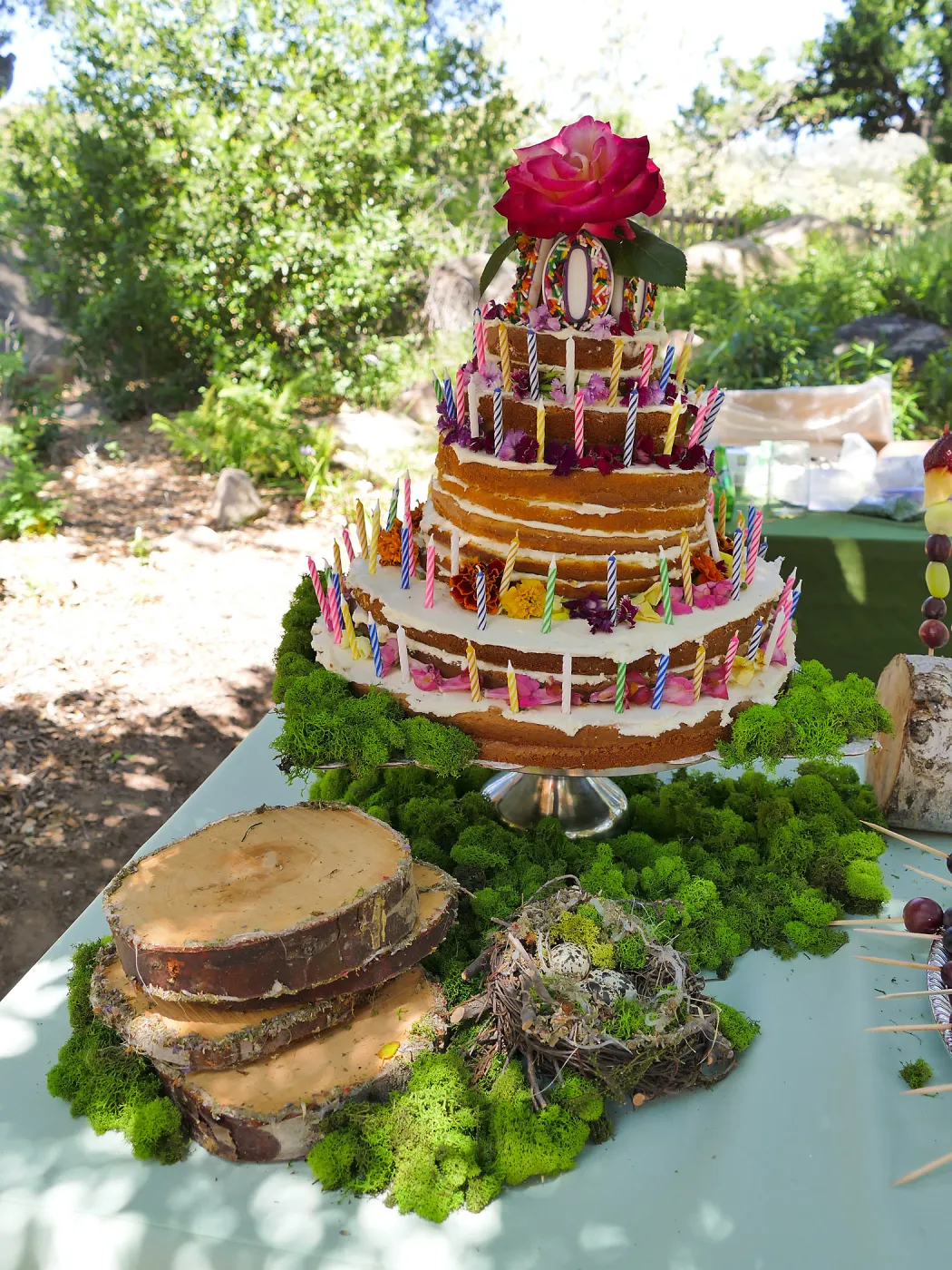 Garden Club of Santa Barbara Centennial Birthday Meeting, Birthday cake