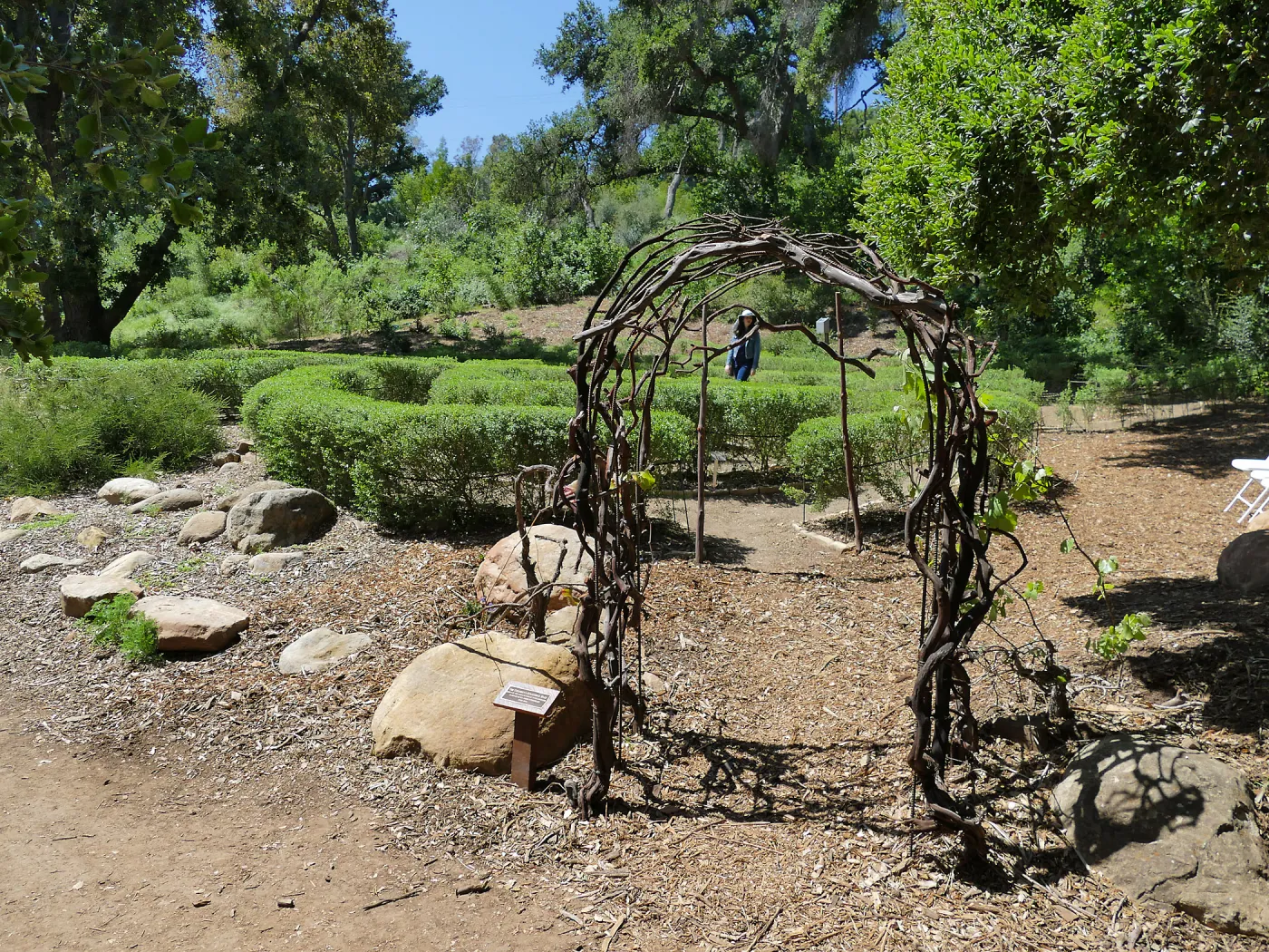 Visitor in Centennial Maze