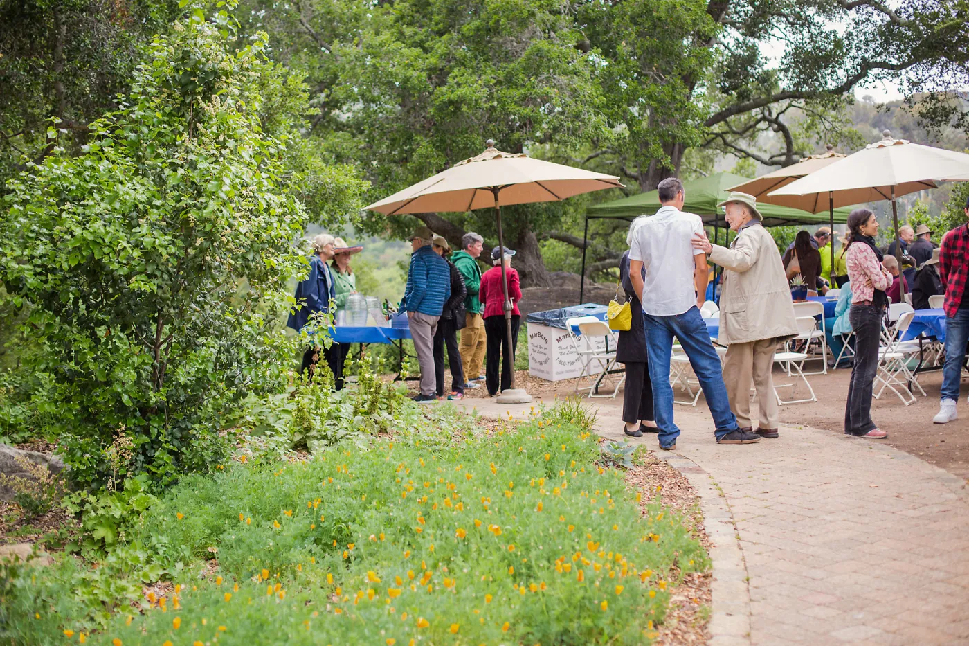 Members Picnic 2016, Day 2