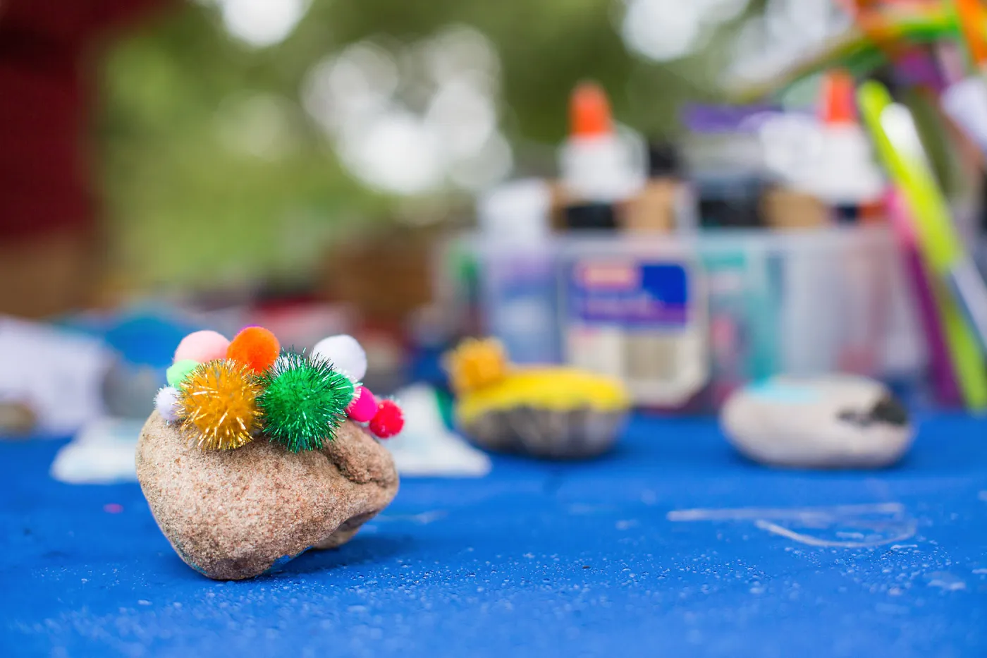 Members Picnic 2016, Day 2, pet rock activity