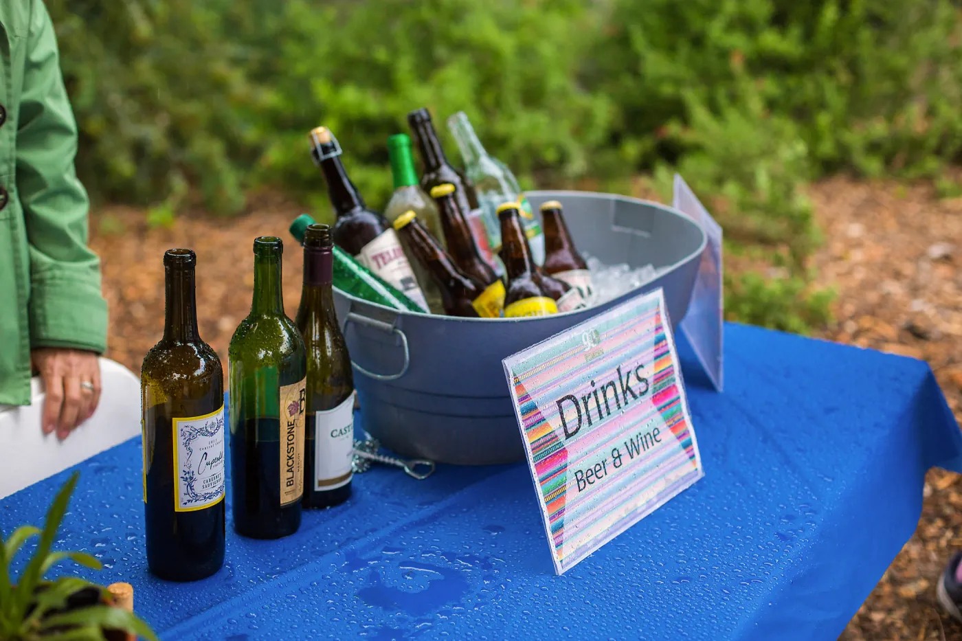 Members Picnic 2016, Day 2