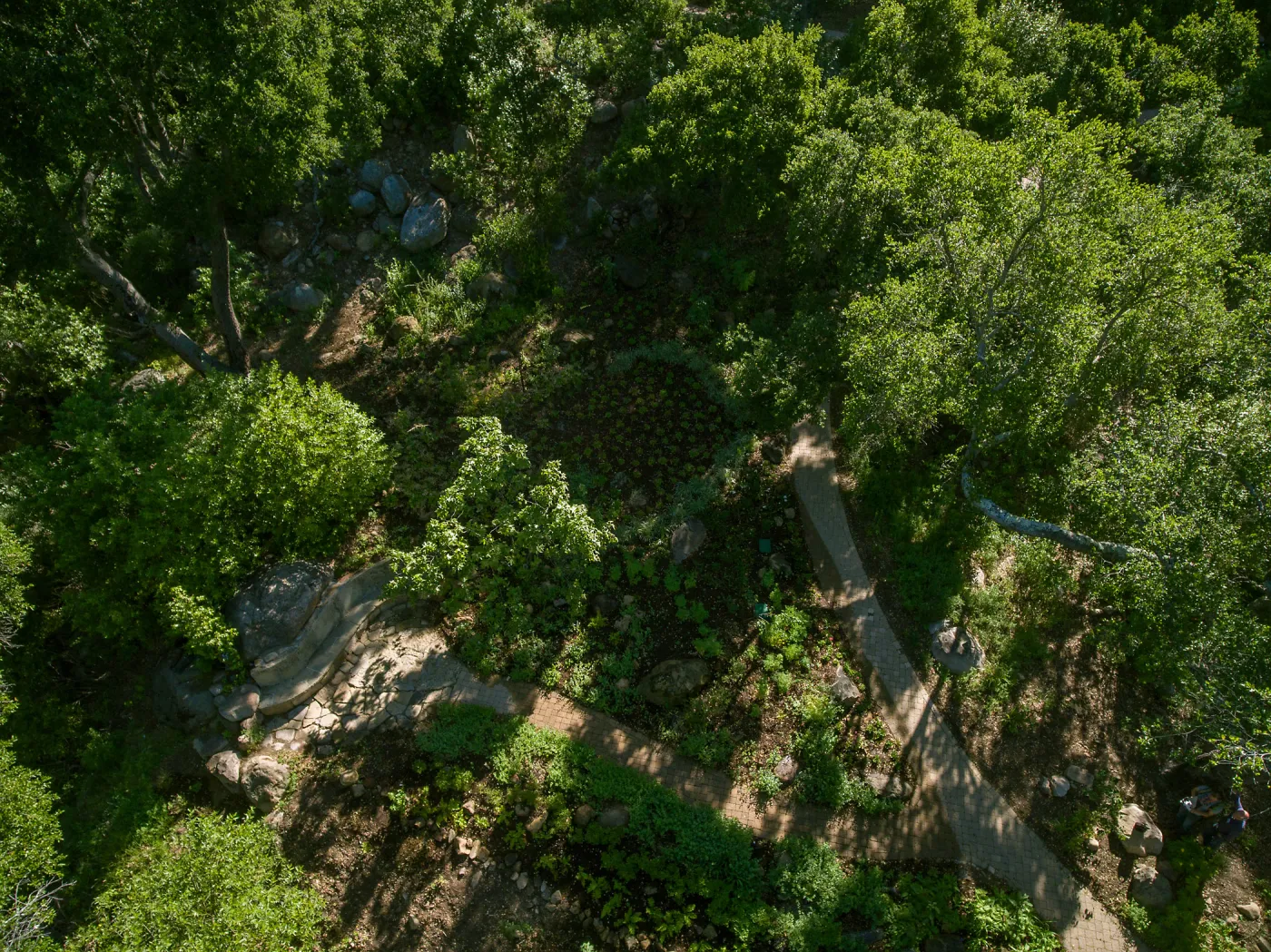 Aerial view of Wooded Dell