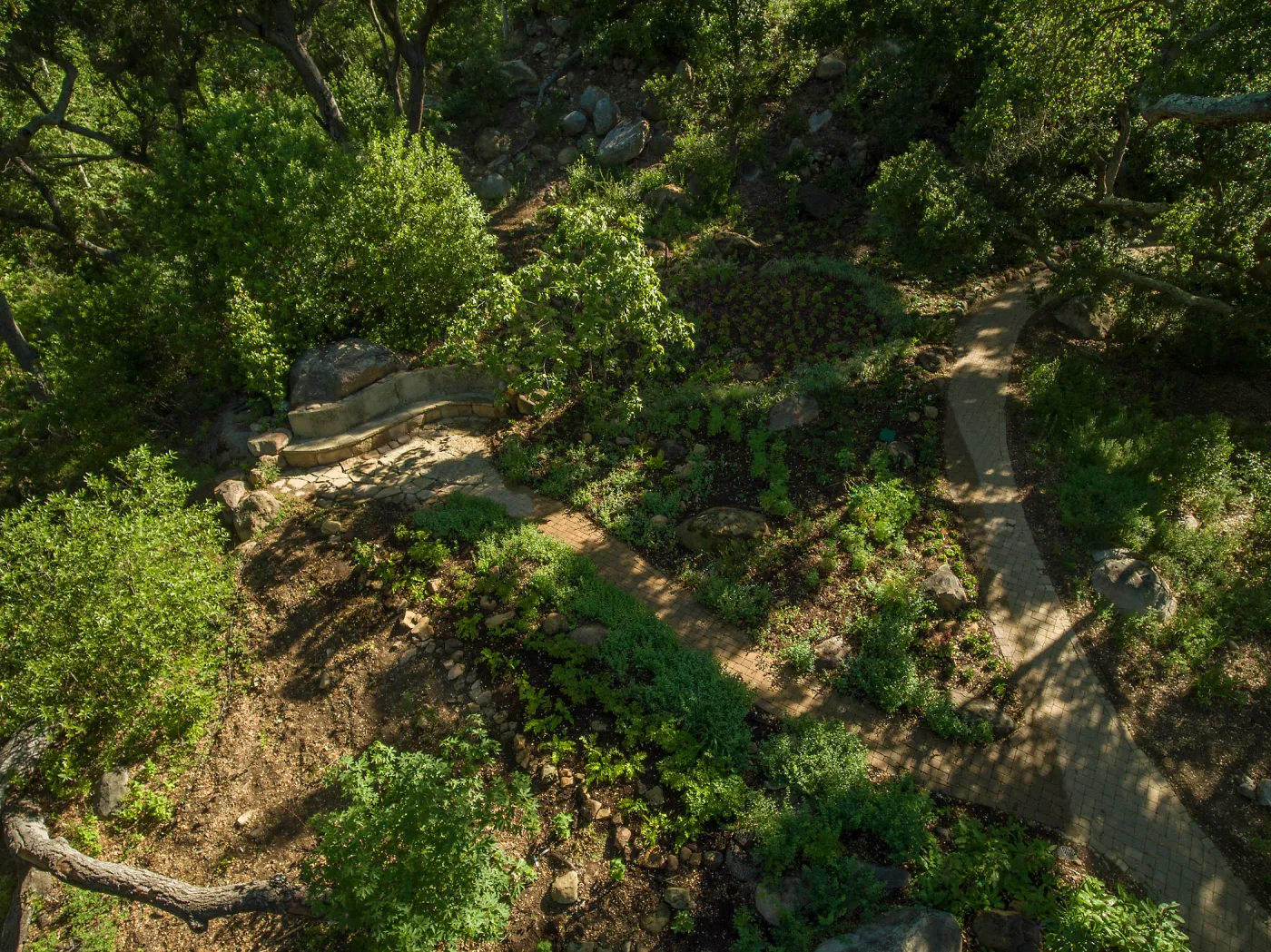 Aerial view of Wooded Dell
