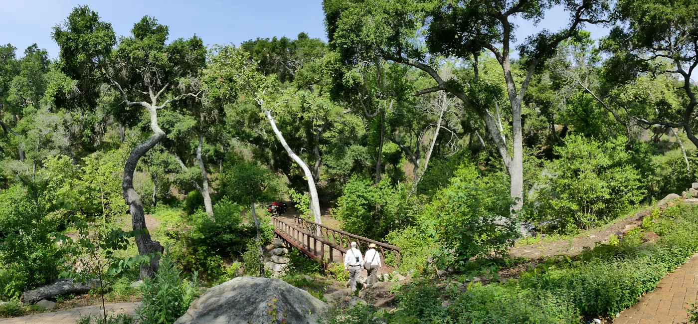 Campbell Bridge
