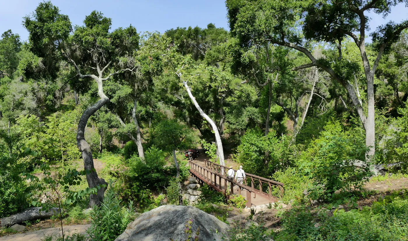 Campbell Bridge