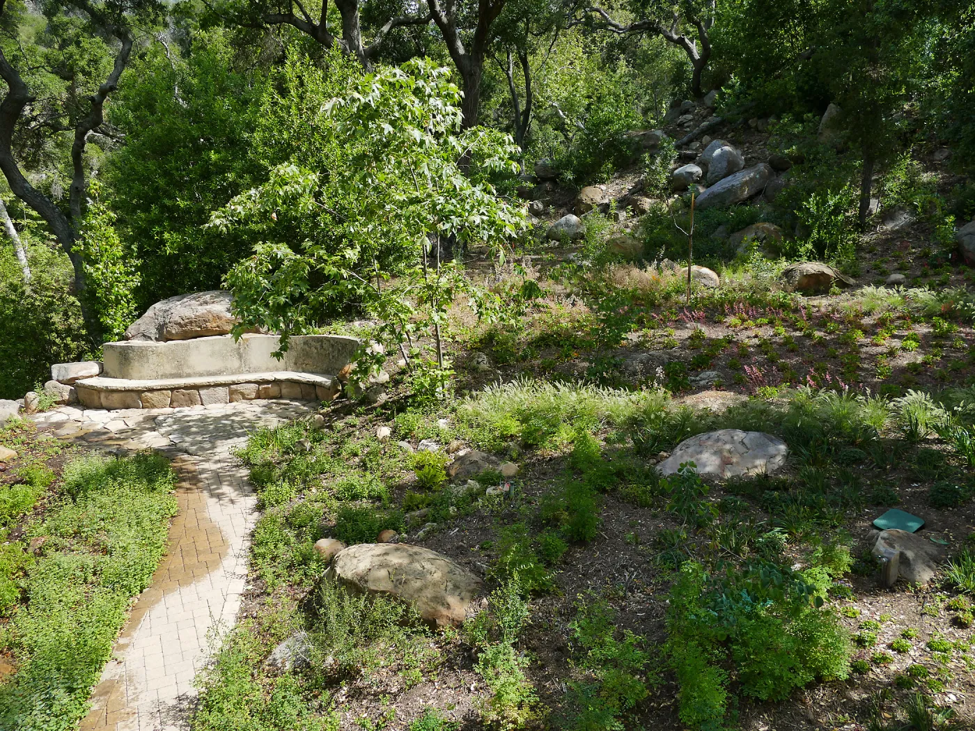 Wooded Dell, Campbell Bench