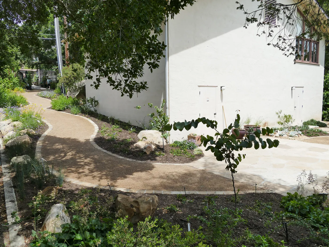 Home Demonstration Garden Renovation, view 31, looking towards southwest corner of Herbarium