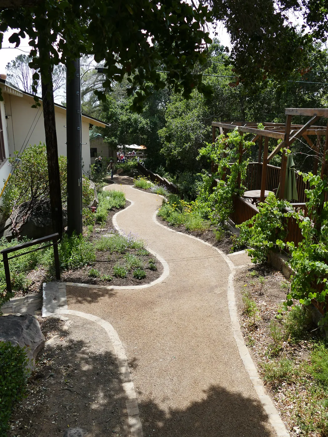Home Demonstration Garden Renovation, view 33, looking south along path west of Herbarium