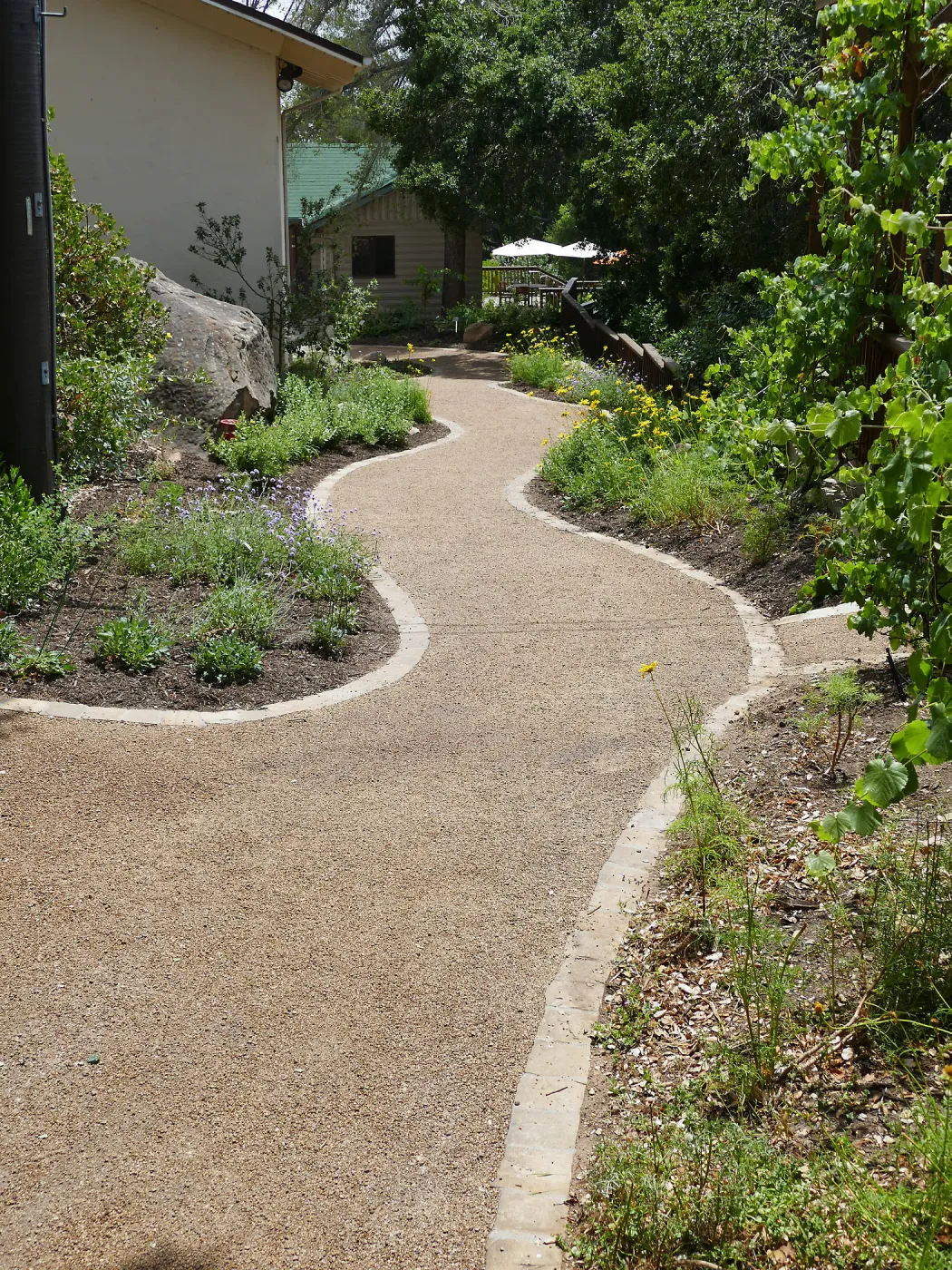 Home Demonstration Garden Renovation, Eco-Pave path west of Herbarium