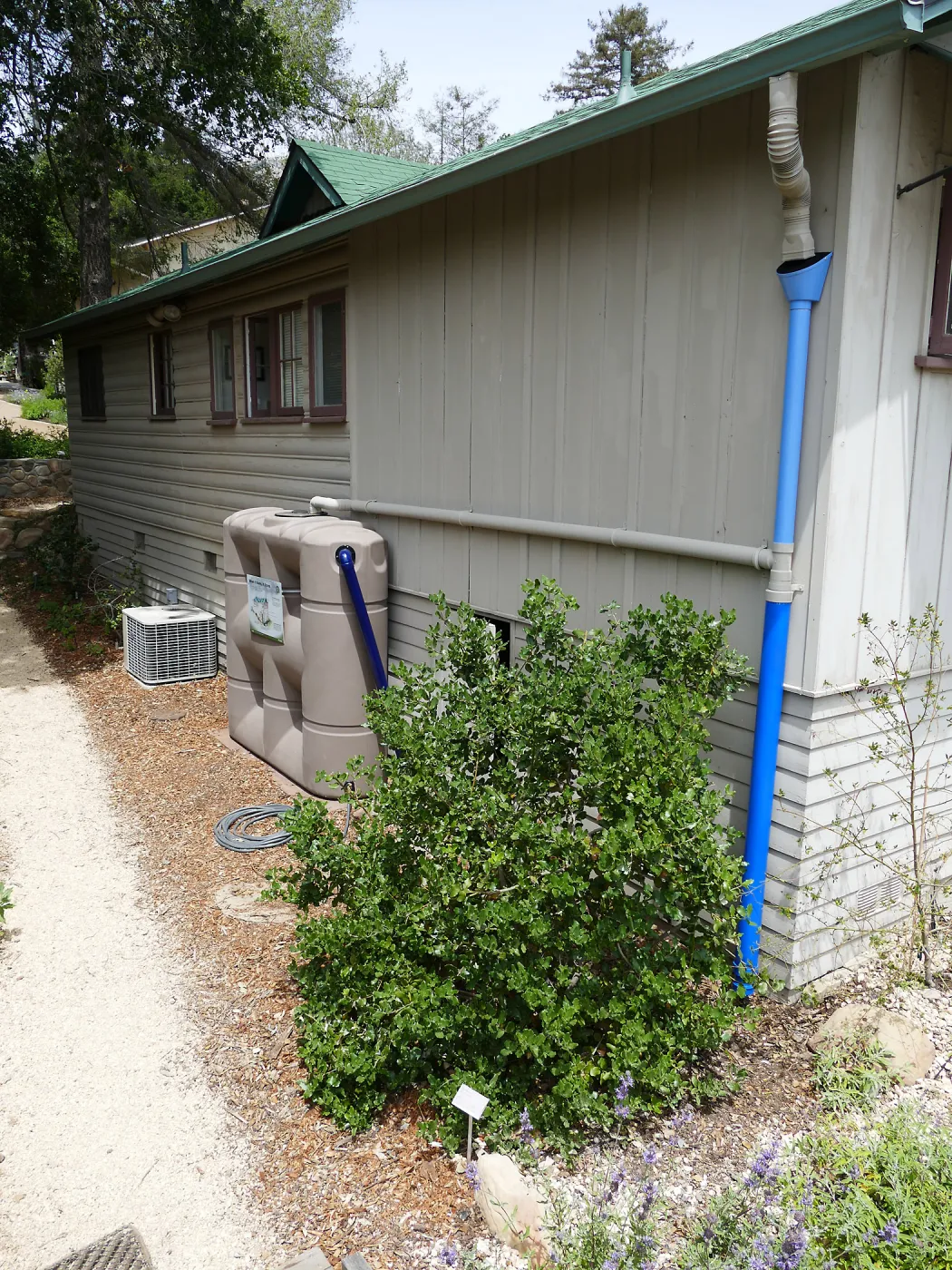 Home Demonstration Garden Renovation, rainwater collection system on west side of Cottage