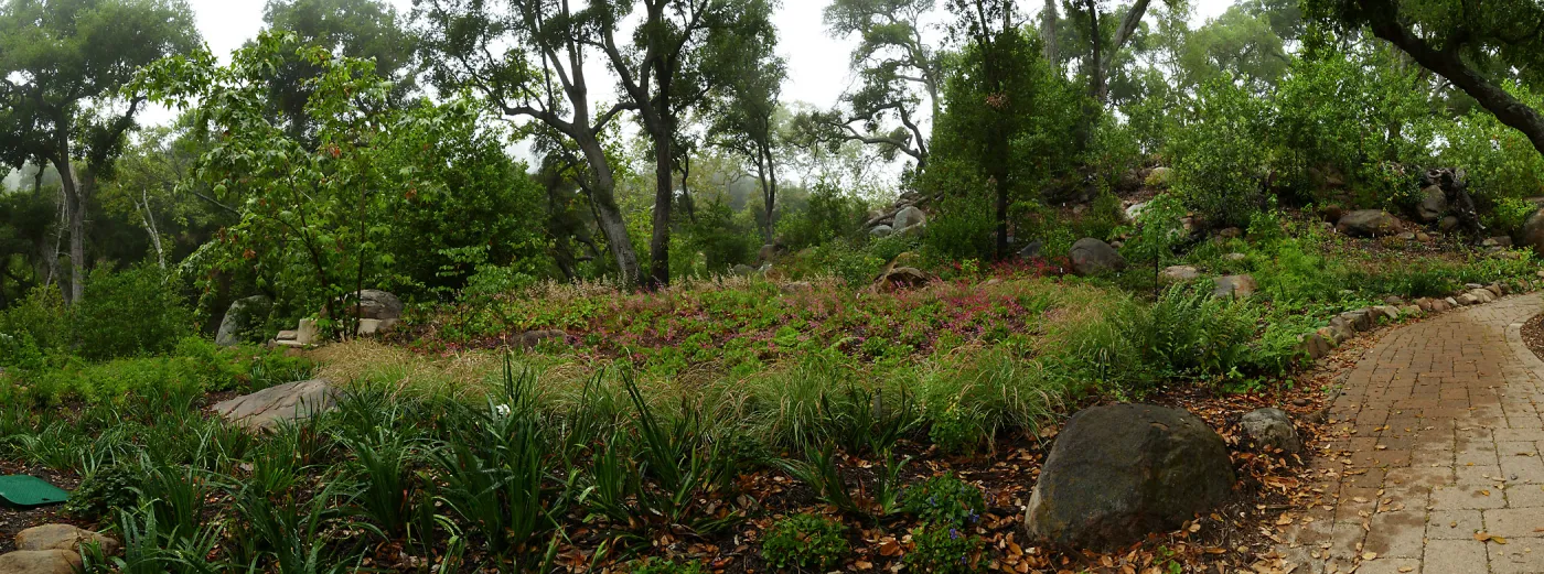 Wooded Dell panorama