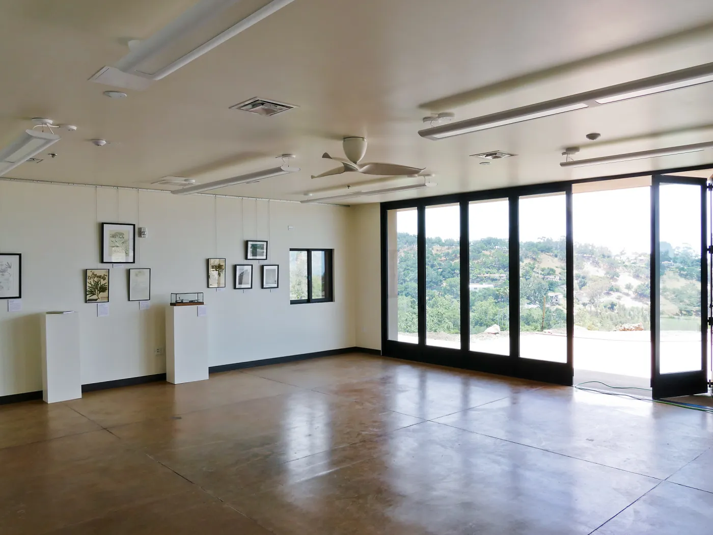 Pritzlaff Conservation Center Construction, Exhibit Room, looking southeast