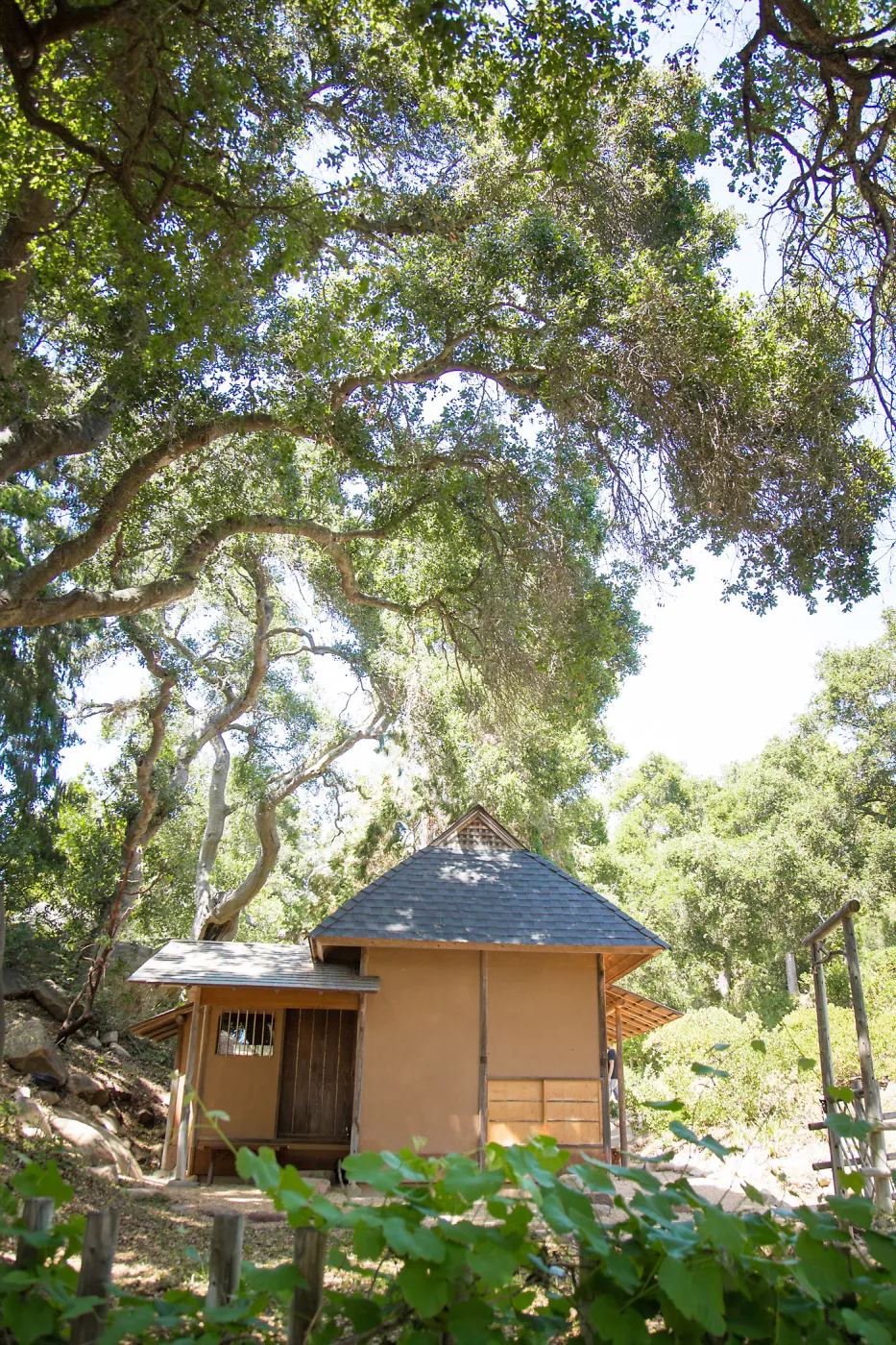 Teahouse