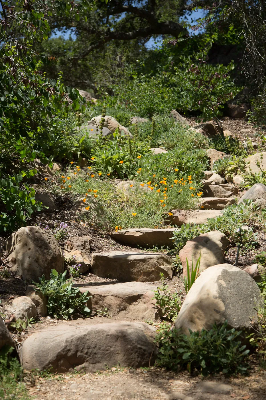 Stone Steps to Manzanita Section