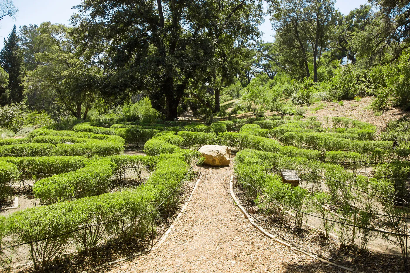 Centennial Maze