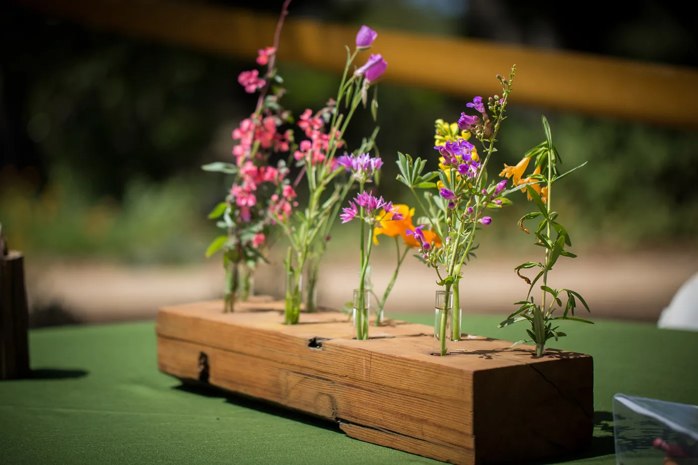 Cultivating the Wild: Native Gardens Tour and 90th Birthday Celebration, Wildflower Display