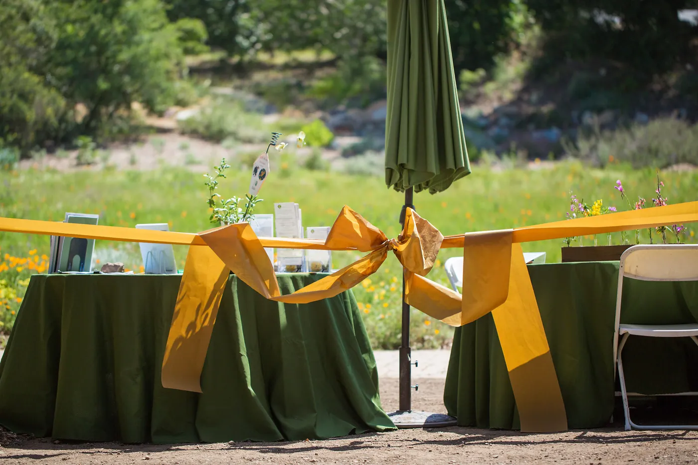 Cultivating the Wild: Native Gardens Tour and 90th Birthday Celebration, Ribbon
