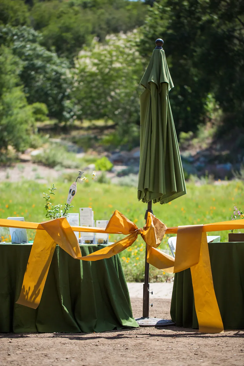 Cultivating the Wild: Native Gardens Tour and 90th Birthday Celebration, Ribbon
