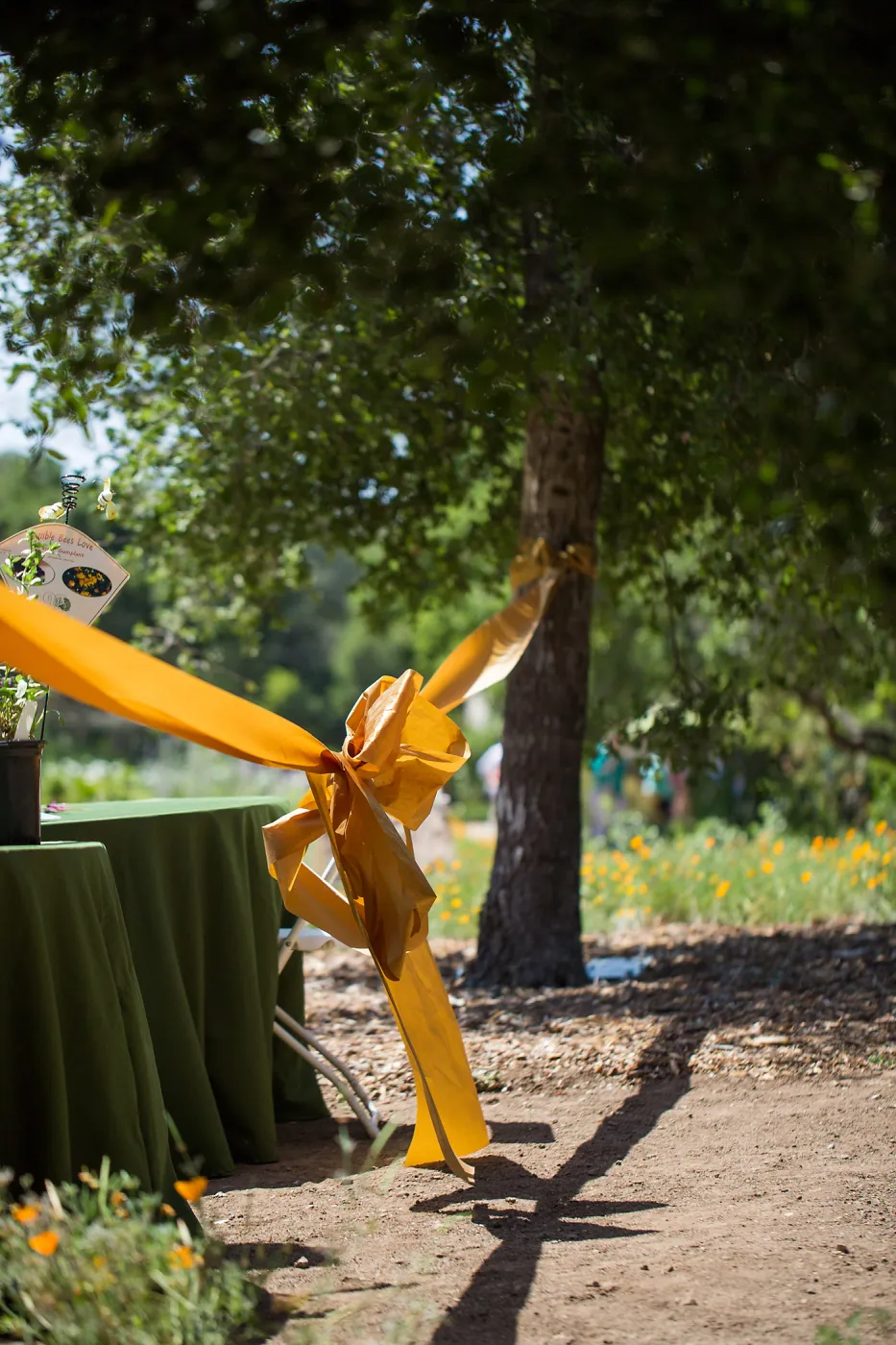 Cultivating the Wild: Native Gardens Tour and 90th Birthday Celebration, Ribbon