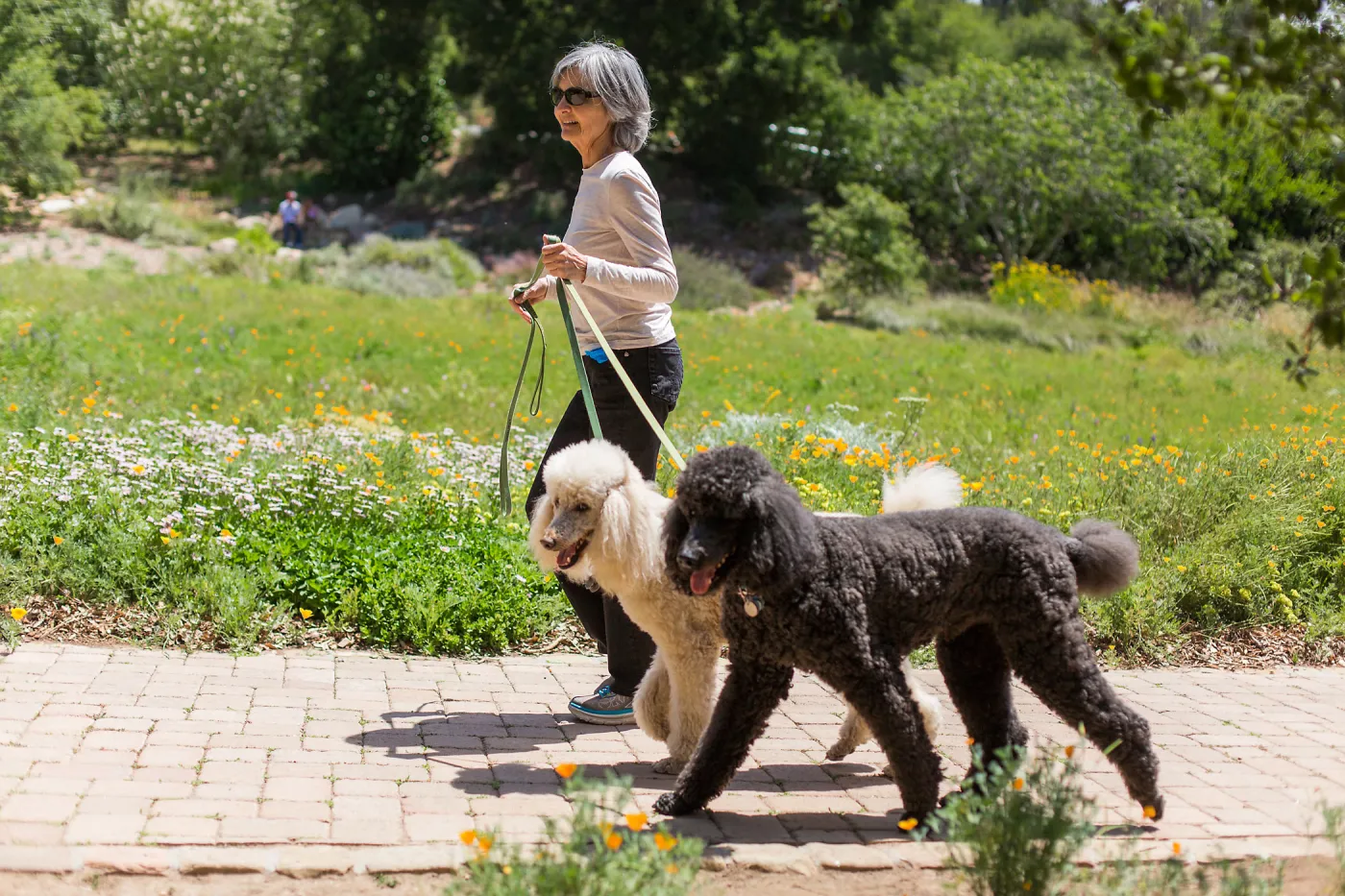 Cultivating the Wild: Native Gardens Tour and 90th Birthday Celebration