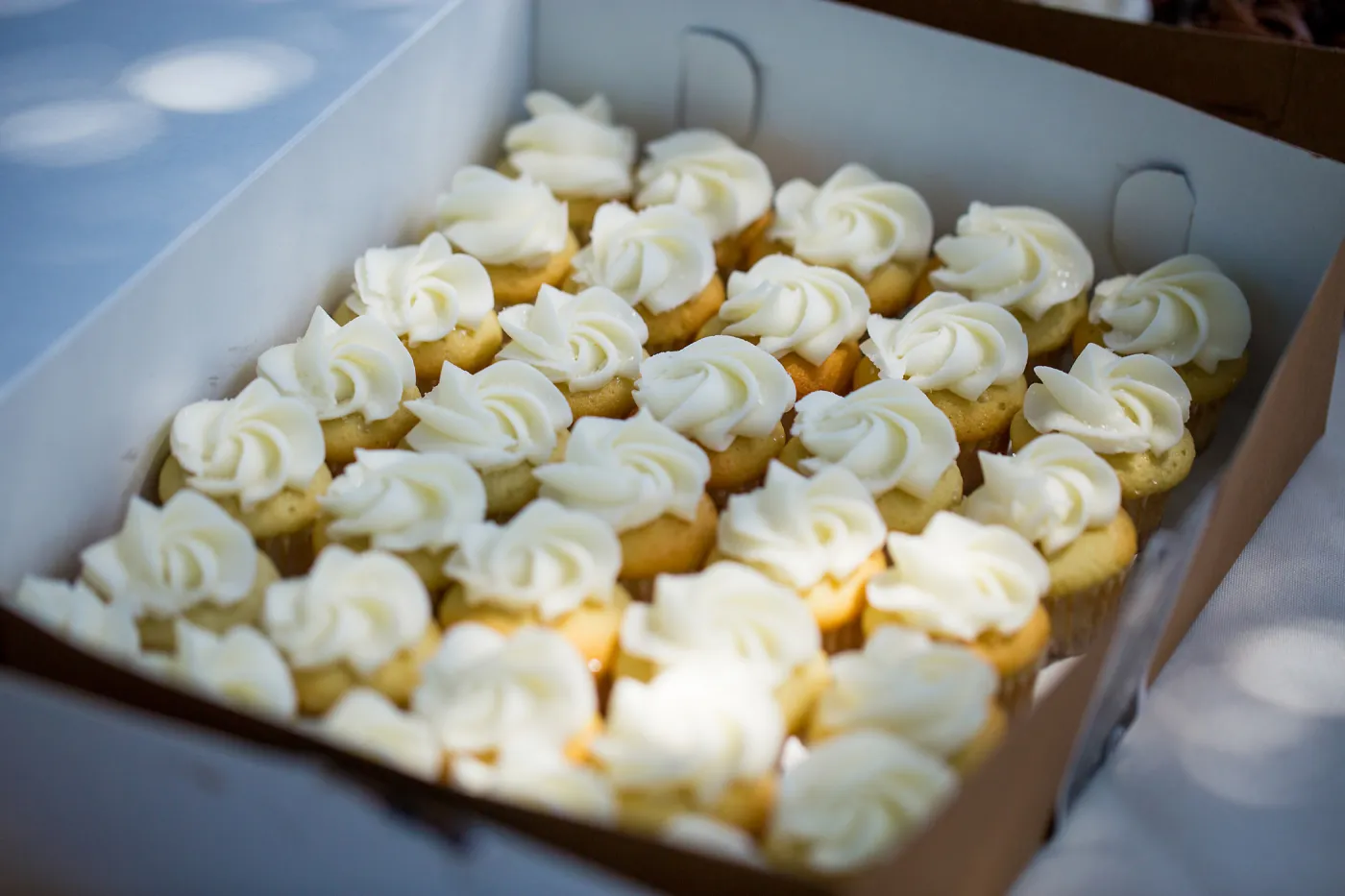 Cultivating the Wild: Native Gardens Tour and 90th Birthday Celebration, Cupcakes by Crushcakes