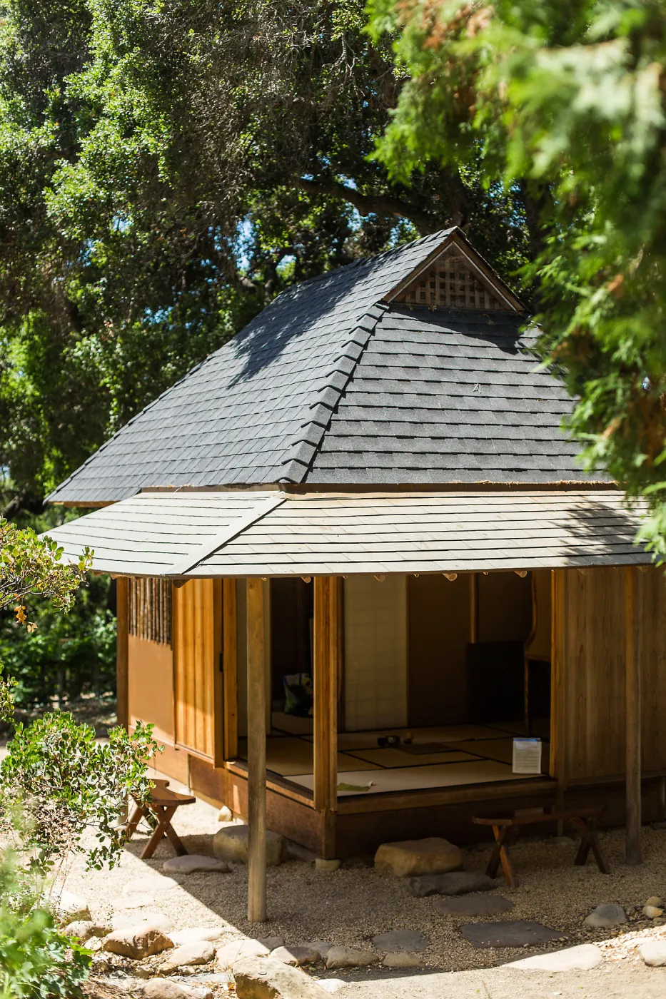 Cultivating the Wild: Native Gardens Tour and 90th Birthday Celebration, Teahouse