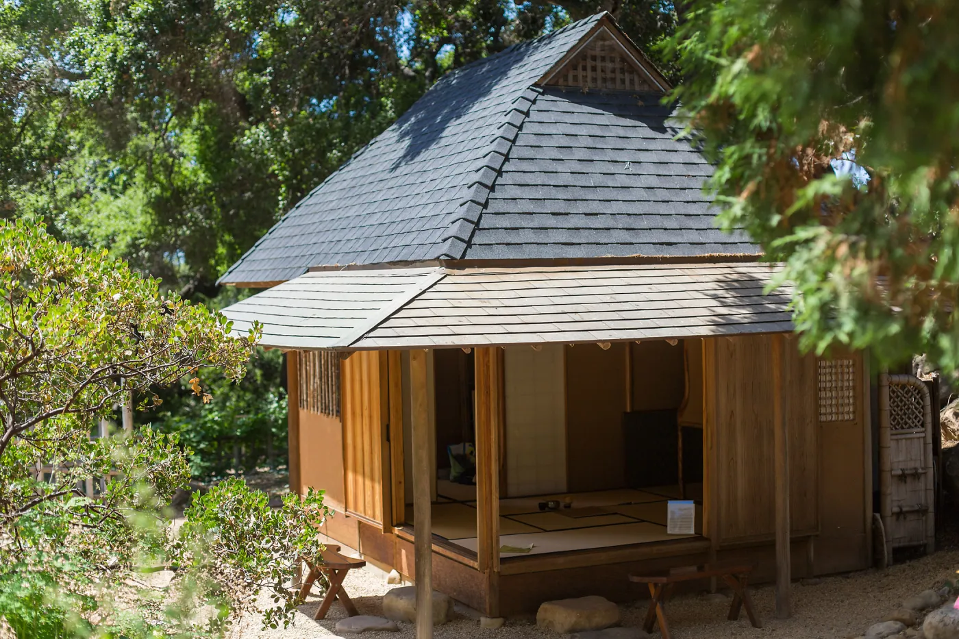 Cultivating the Wild: Native Gardens Tour and 90th Birthday Celebration, Teahouse