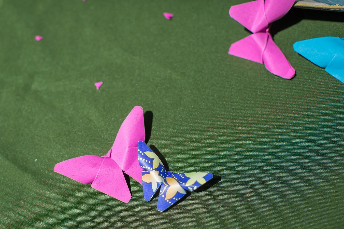 Cultivating the Wild: Native Gardens Tour and 90th Birthday Celebration, Origami