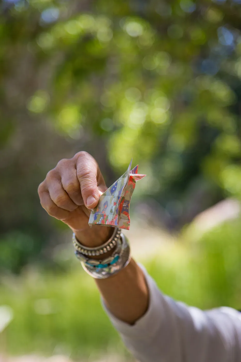 Cultivating the Wild: Native Gardens Tour and 90th Birthday Celebration, origami workshop