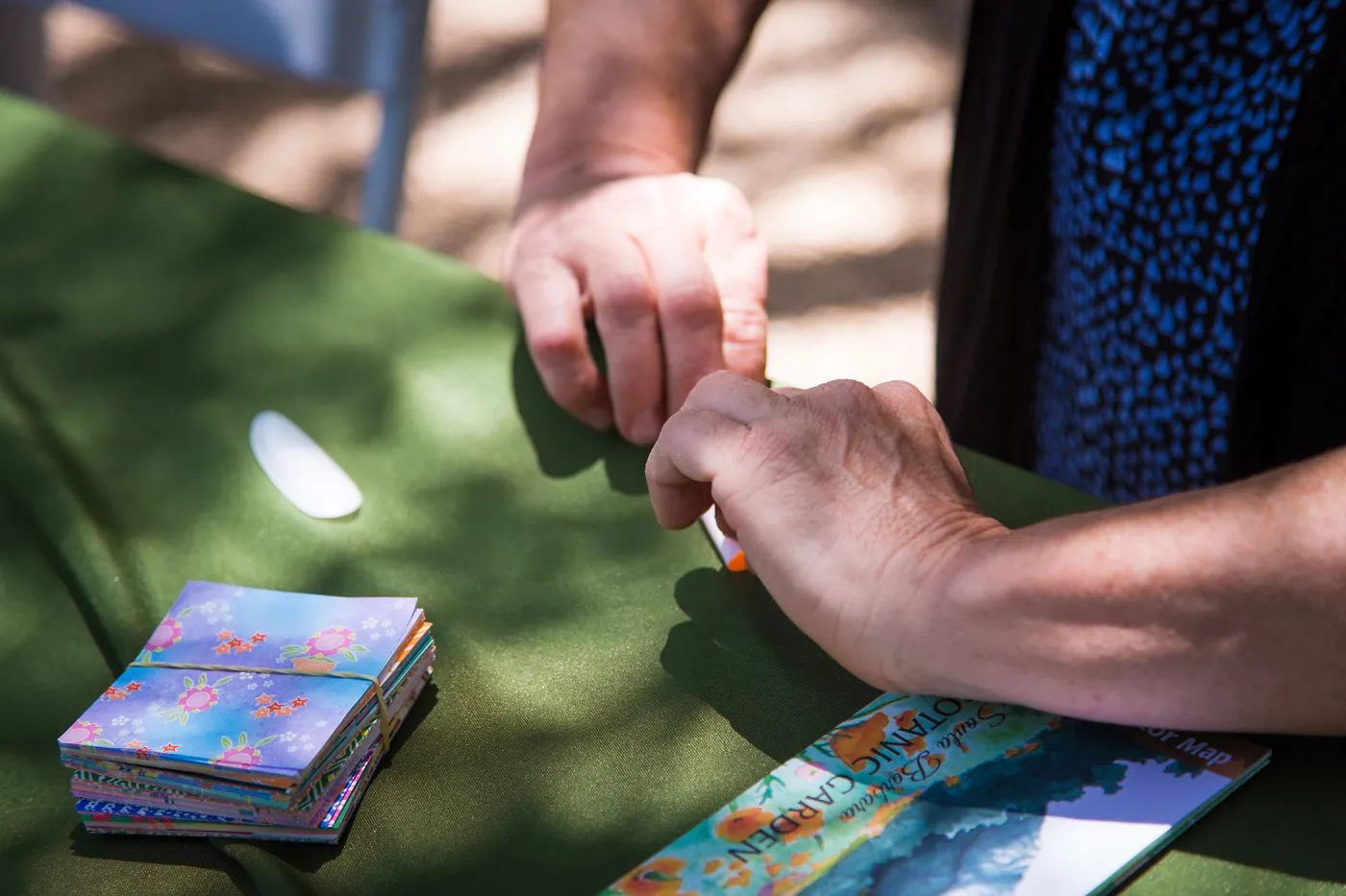 Cultivating the Wild: Native Gardens Tour and 90th Birthday Celebration, Origami, Frederique Laviopierre