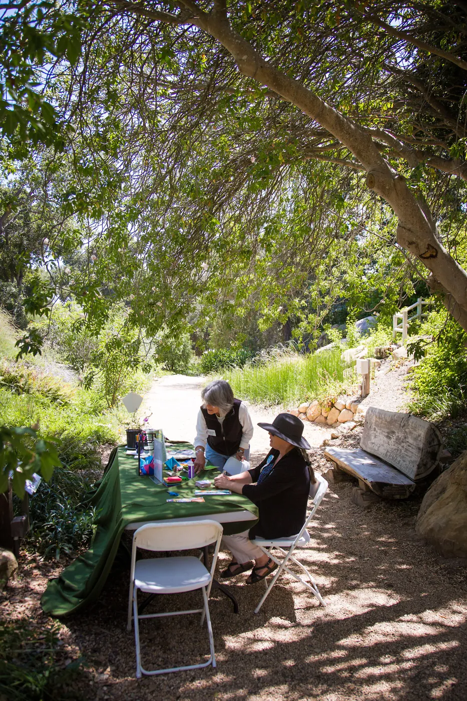 Cultivating the Wild: Native Gardens Tour and 90th Birthday Celebration, Origami workshop