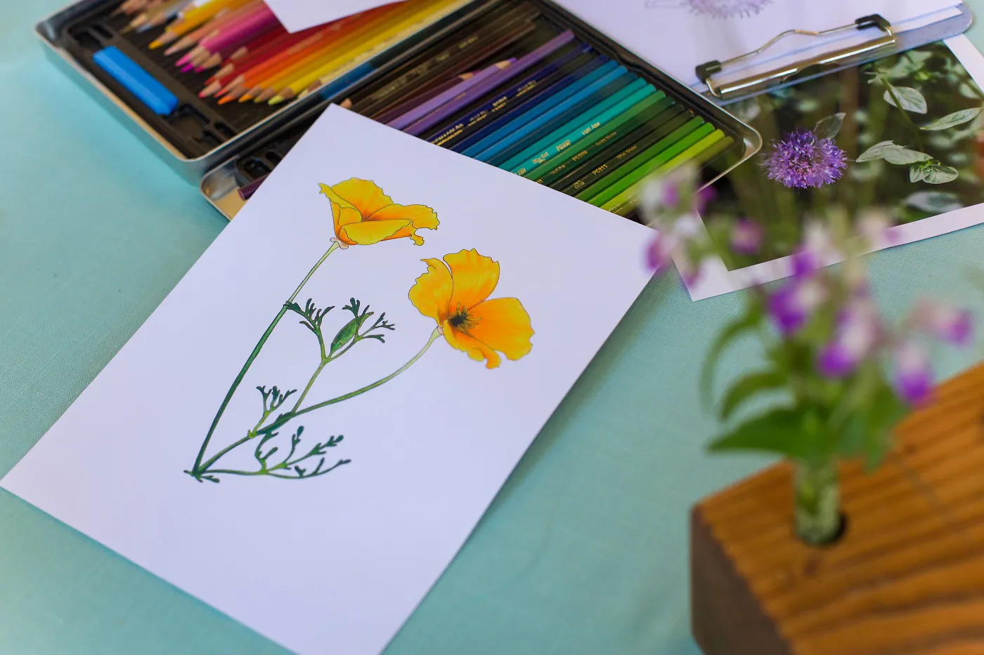 Cultivating the Wild: Native Gardens Tour and 90th Birthday Celebration, Kate Davis, Coloring Book