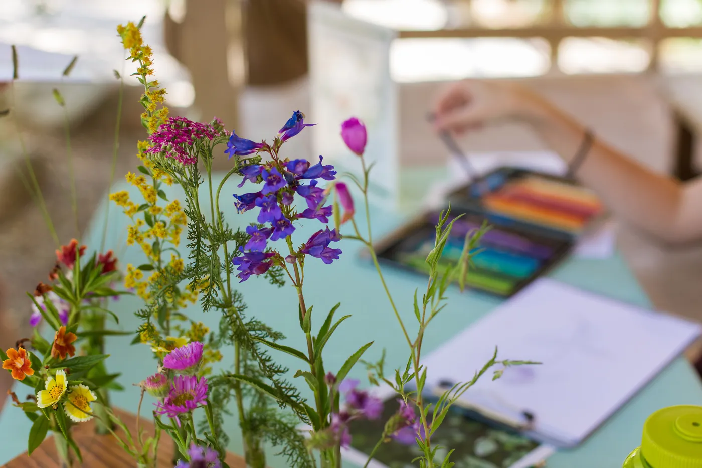 Cultivating the Wild: Native Gardens Tour and 90th Birthday Celebration, Coloring from life